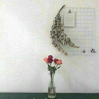九游了凡录手游下载