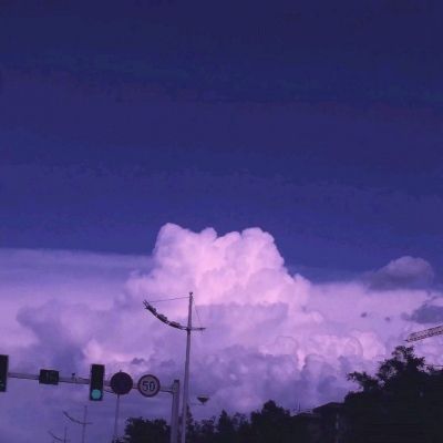王者圣域bt版下载